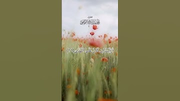 #سورة_العلق #قرآن #تلاوة #quran #القرآن_الكريم #القارئ #الشيخ #محمد #عبدالباسط #الهاشمي