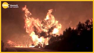 Hundreds of thousands flee as wildfires close in on French city