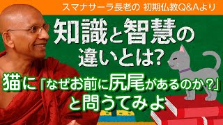 《仏教哲学》知識と智慧の違いとは？　猫に「なぜお前に尻尾があるのか？」と問うてみよ　スマナサーラ長老との対話｜ブッダの智慧で答えます（一問一答）