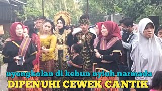 Di Penuhi Cewek Cewek Cantik Nyongkolan Di Kebun Nyiuh