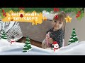 🎄 С Наступающим Новым Годом!!! 🎉 Будни мамы с ребёнком 😜