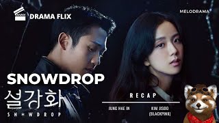 [Drama Flix Review] Snowdrop Fever: ทำไมคุณถึงไม่ควรพลาดละครเกาหลีเรื่องนี้!