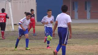 Saul 2 20171029