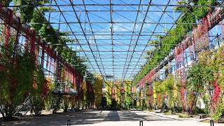 Mfo Park - Featured Project