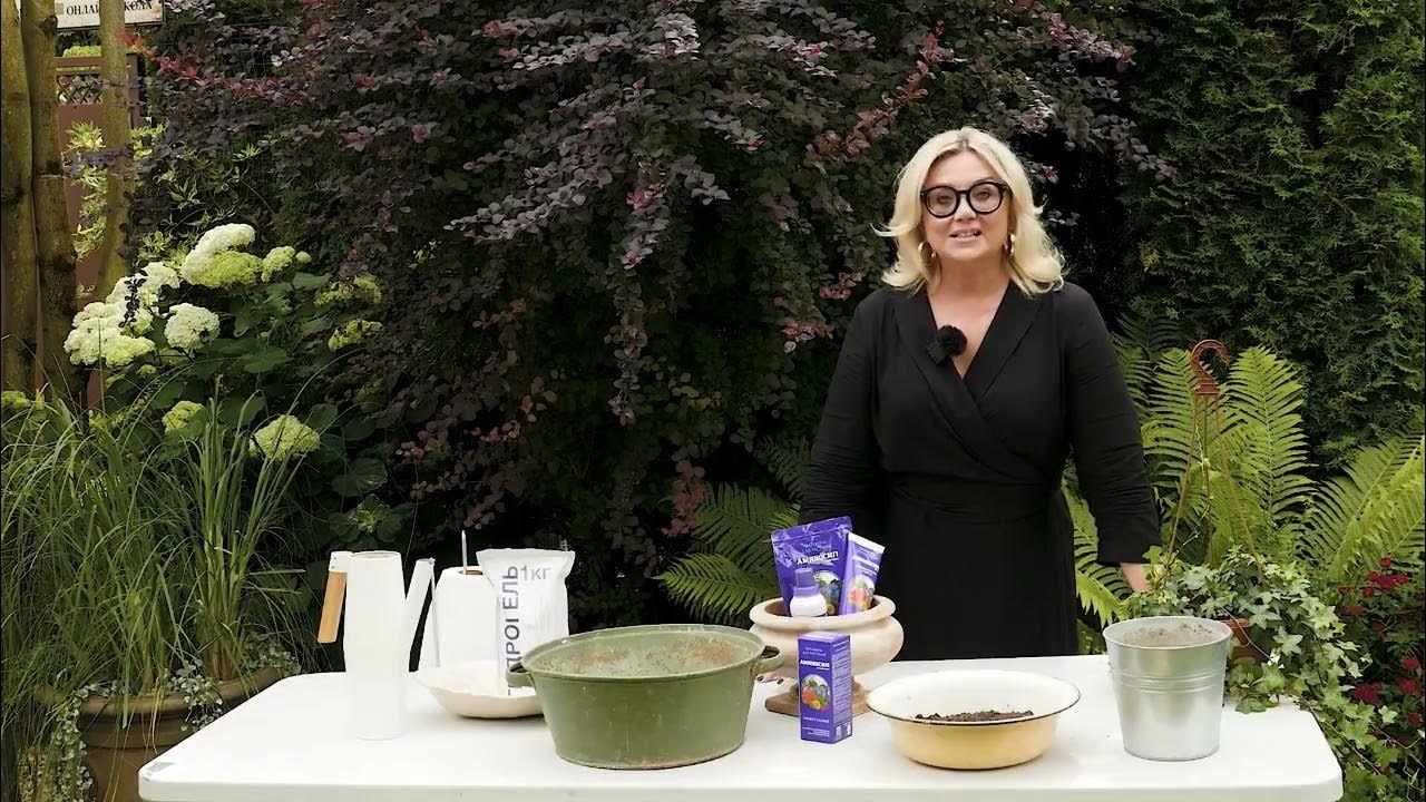 РОСКОШНОЕ Украшение террасы/ Оригинальные композиции в кашпо/ Как ...