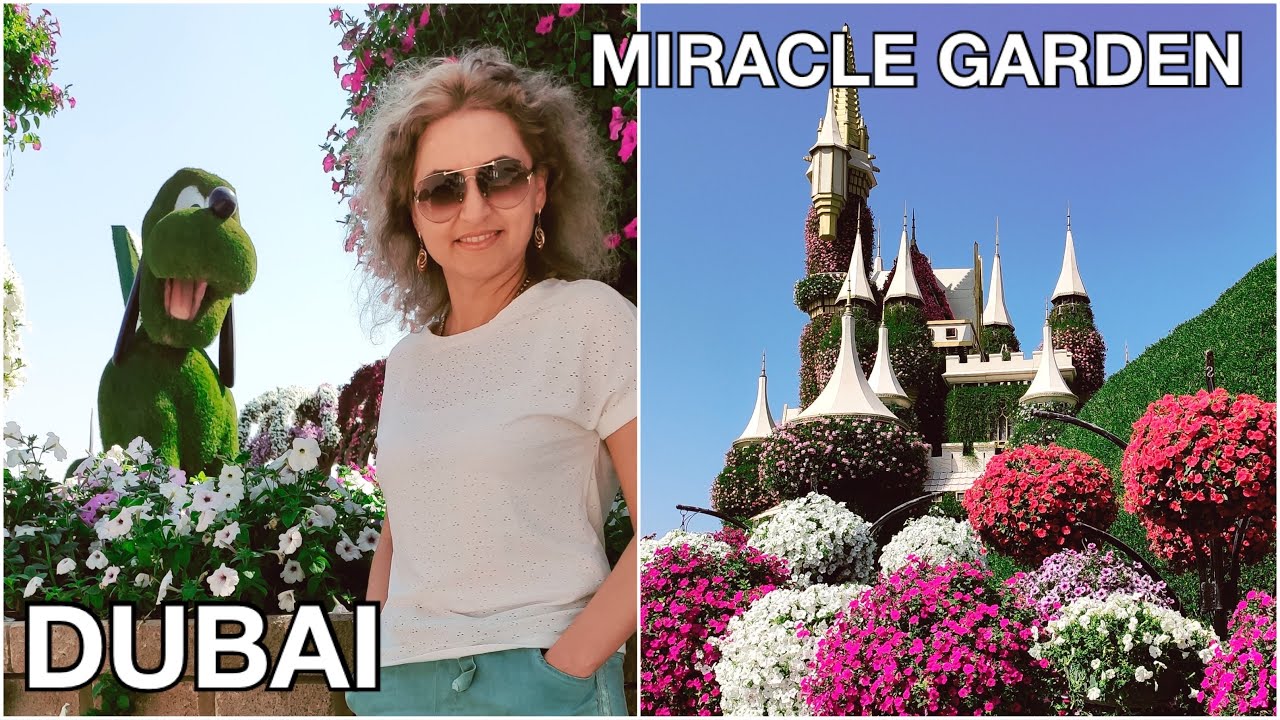 Dubai / Miracle Garden 2021