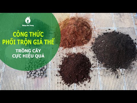 Video: Hỗn hợp trồng cây không cần đất cho hạt giống - Cách làm giá thể trồng cây không cần đất