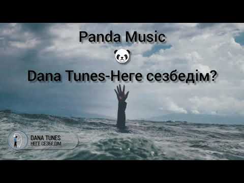 Dana Tunes-Неге сезбедім?/Текст