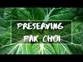 How to Preserve Pak Choi | THE NATURE PATCH