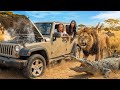 WE WENT ON A WILDLIFE AFRICAN SAFFARI TRIP!