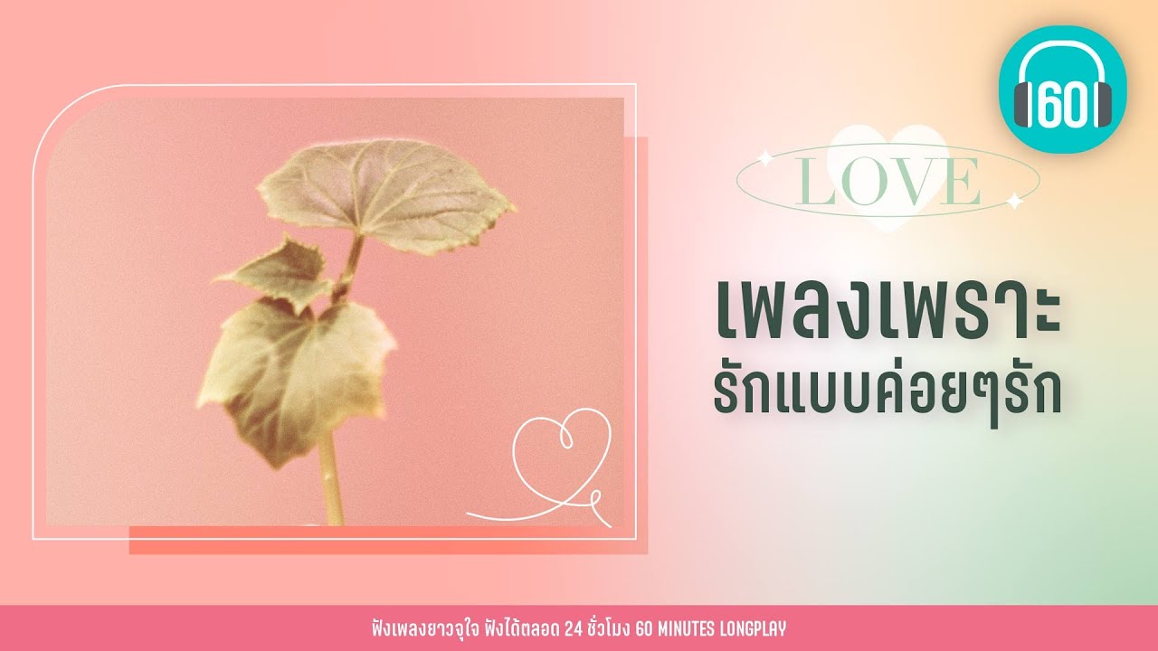 เพลงเพราะ  รักแบบค่อยๆรัก [พรุ่งนี้...ไม่สาย,ค่อย ๆ รัก,ยิ่งรู้จัก ยิ่งรักเธอ ]【LONGPLAY】