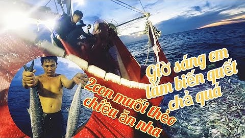 2 Vác Lưới Đêm Đã Xong, Ngư Phủ Kiếm Mồi Ngon sương sương | Đánh Cá 2025 - Tập37 |Sóng Biển Hứa Đông