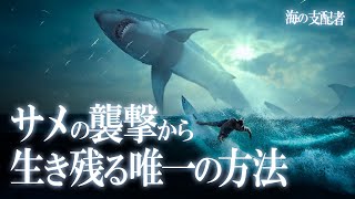 遊泳中にサメに襲われたら？人食いサメの襲撃から生き残る唯一の方法