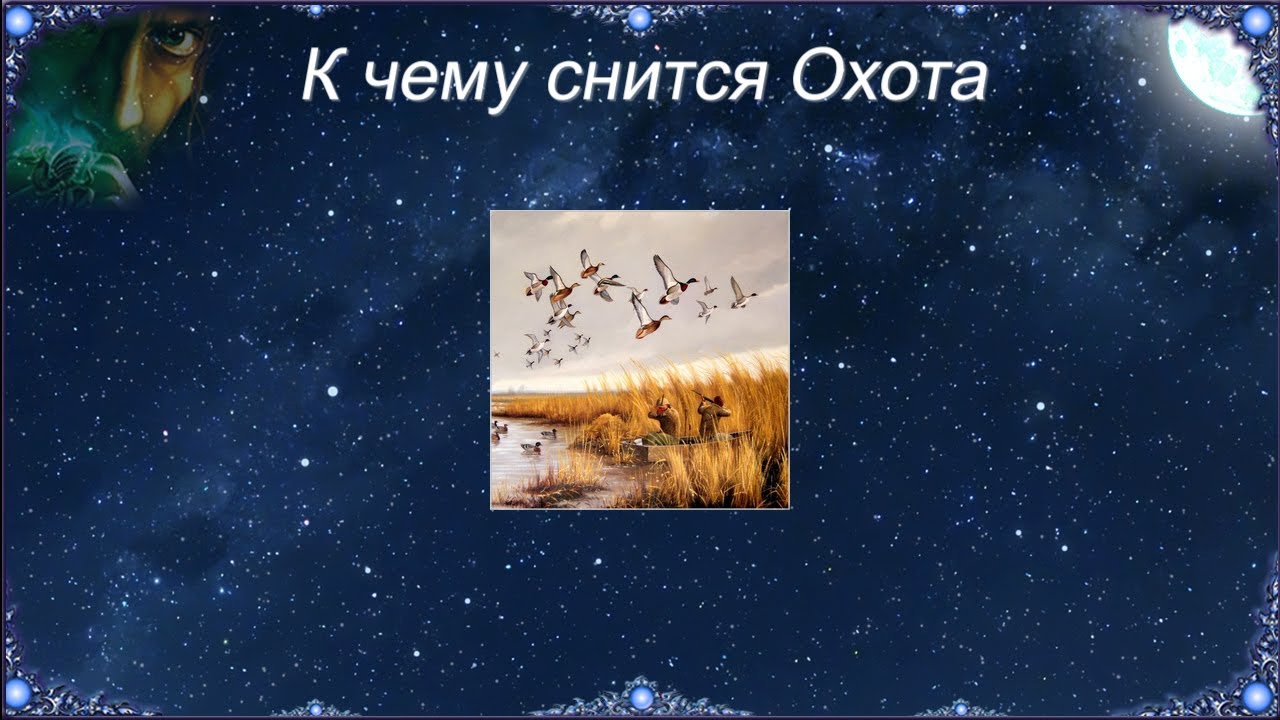 К чему снится Охота (Сонник)