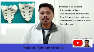 Sacrum bone Osteology I bony features I attachments & relations I Full Demo I Dr Vibhash Vaidya