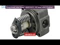 Pump head, rotor head 1468374012, VE head rotor, 4 cylinders /... — Hot Deal 2026 | Limited Offer!