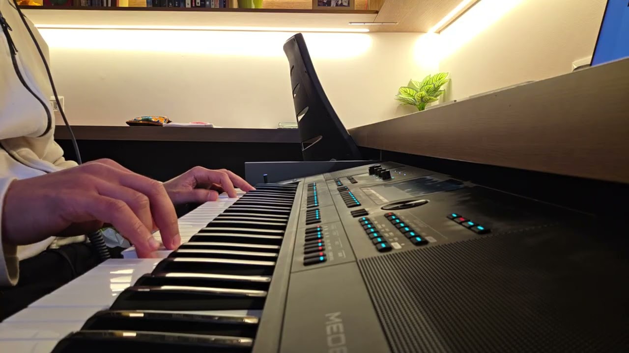 Eliran - Medeli AKX10 - כשאחר