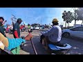 Dog Rescue or Catching? Watch Till End 