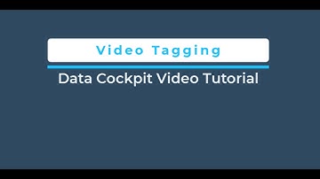 Video Tagging - Complete Guide