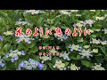 花のように鳥のように すぎもとまさと / cover by botan