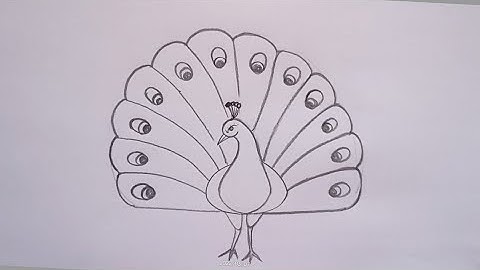 how to draw peacock drawing easy method @DrawingTalent