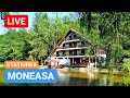 🔴 LIVE din MONEASA - Stațiune Turistică cu băi cu ape termale și tratamente balneare lăsată în ruină