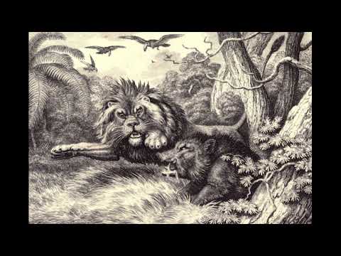 Fable D Ésope Le Lion Et Le Sanglier 