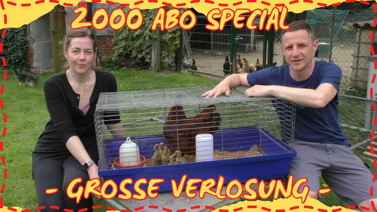 Küken 🐣 Hühner 🐓 Enten 🦆 Hofrundgang April 2024 mit 2000er Abonenten großer Verlosung !!