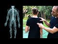 Nerve Strikes—Targeting the Pain Response: Core JKD