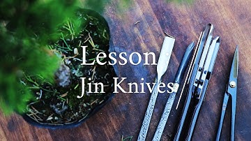 Bonsai Tool Basics: Jin & Shari Carving Tools || Wazakura Japan