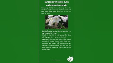 Cây Trinh Nữ Hoàng Cung Chữa Bệnh Gì?