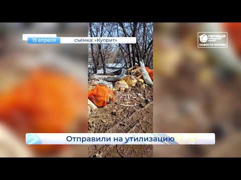 Закупили 10 новых автобусов  Короткой строкой  Новости Кирова  15 04 2021