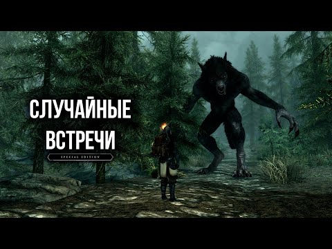 Видео: Skyrim Случайные Встречи и Не Отмеченные Места Скайрима ( Секреты 366​​​​​​​ )