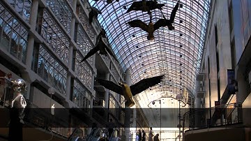 Pseudo Interactive Toronto