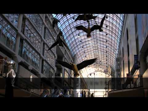 Pseudo Interactive Toronto