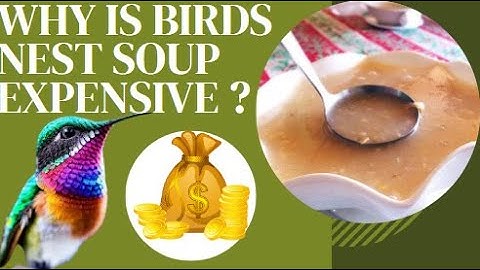 WHY IS BIRDS NEST SOUP SO EXPENSIVE ? CAN YOU AFFORD IT ? :)