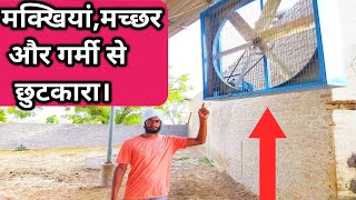 Fan For Dairy Farm, Relief From Flies, Mosquitoes And Heat.