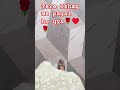 Tere ishq me pagal ho...youtube shorts / viral song
