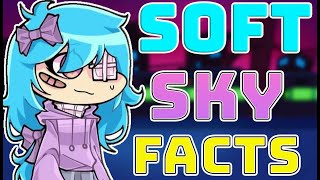 Top Soft Sky Facts Explained in fnf (Sky Soft vs Softie Mod) screenshot 4