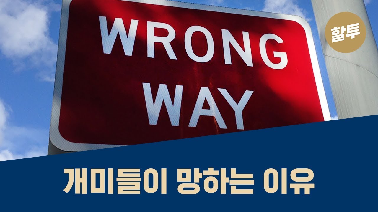 169. 최근 상한가 친 주식 사면 폭망!