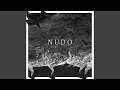 Nudo 