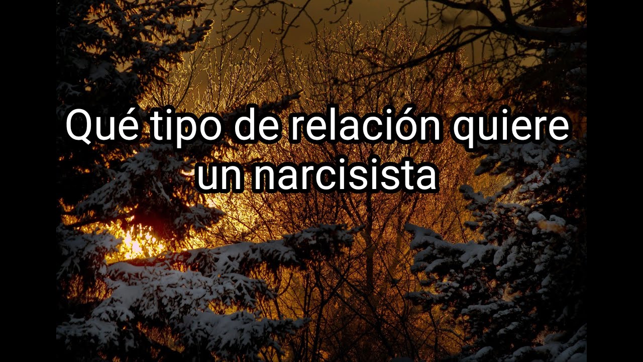 QUÉ TIPO DE RELACIÓN QUIERE UN NARCISISTA #narcisismo #narcisista #abusoemocional #abusonarcisista