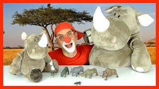 Funny Clown Videos. Who is the BIG Rhinoceros? Bom the Clown - Magic Tricks for Kids