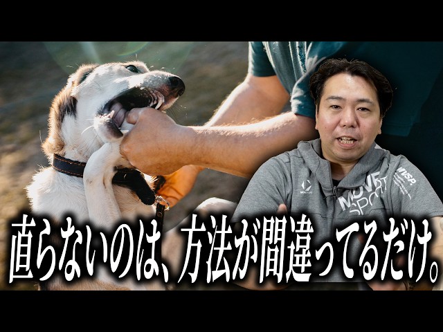 Dog Training] There's a reason for biting. Explaining gentle