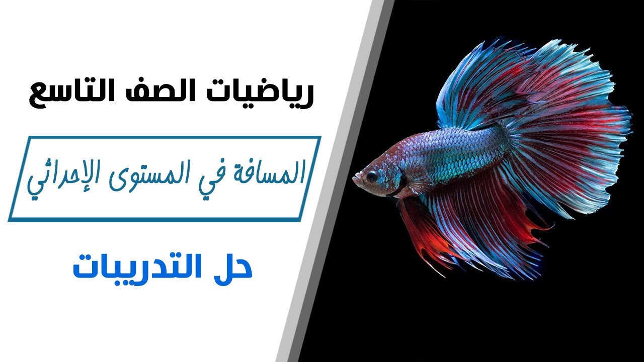 رياضيات الصف التاسع | المسافة في المستوى الإحداثي - أتدرب وأحل المسائل