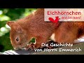 Eichhörnchen in Not – Die Geschichte von Herrn Emmerich