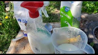 Ovako napravite "insekticid" koji uništava štetočine za 5 minuta