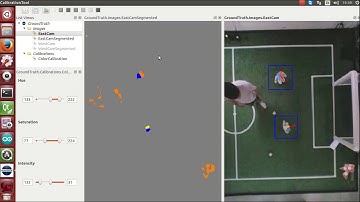 Robot Pose Estimation System
