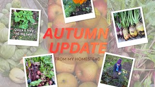 Homestead Update Autumn 2025