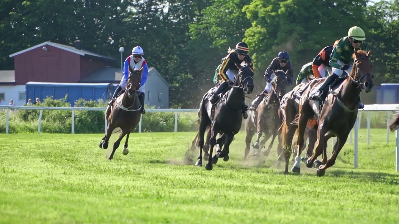 Øvrevoll Galoppbane 24.06.2023 / 18:15 Cet / Race #2 / 1980 Gr Brukseier E.Lyches Minneløp